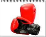 Boxhandschuhe Top-Modell rot Echtleder 10 Oz